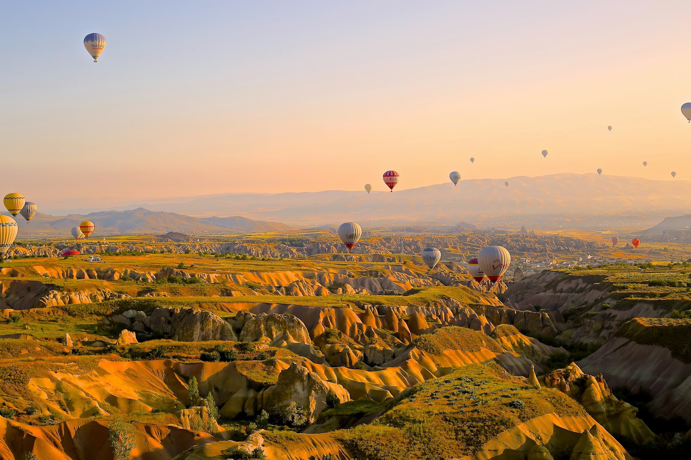 Hot air balloons over landscape