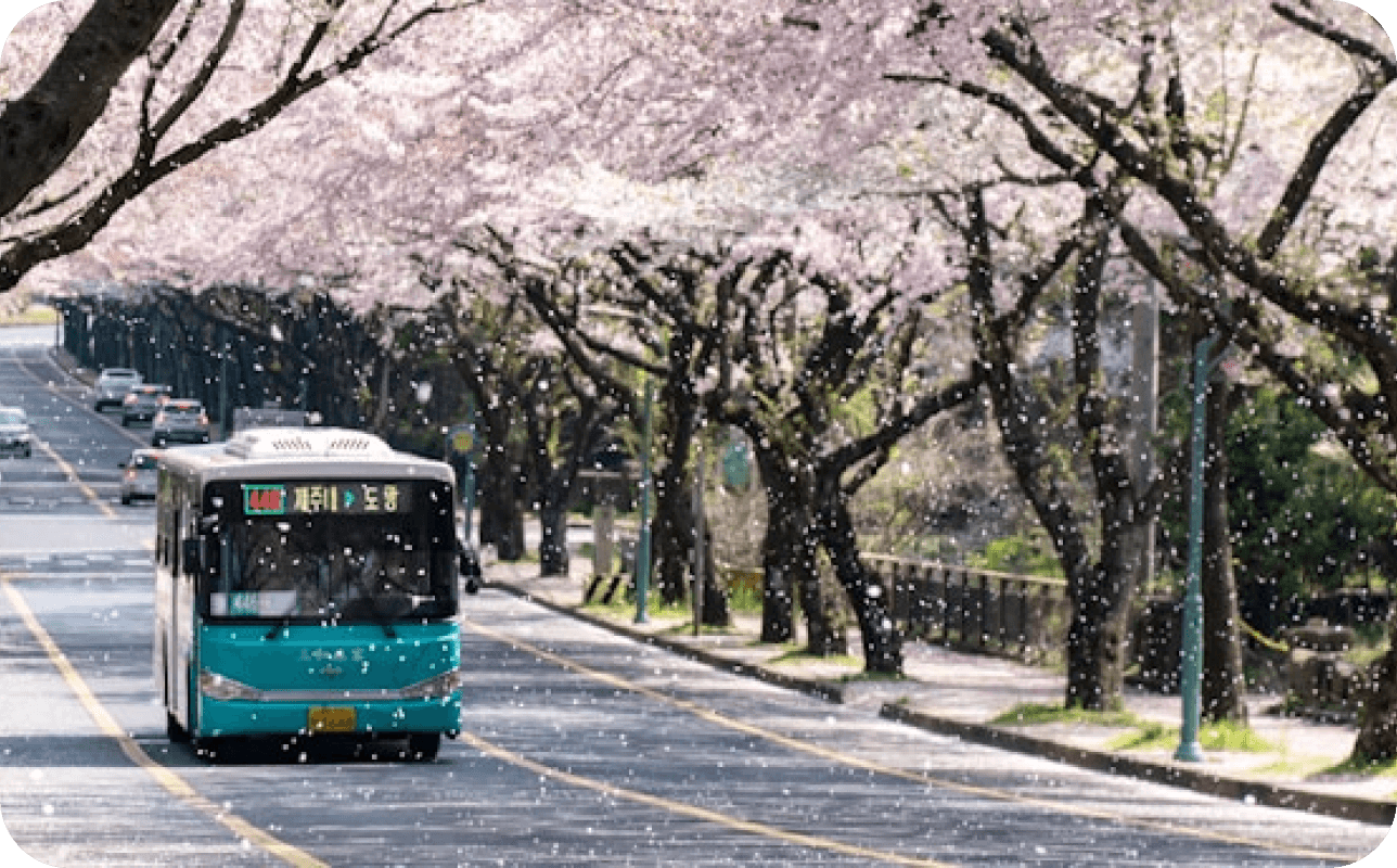 South Korea Tourist Visa