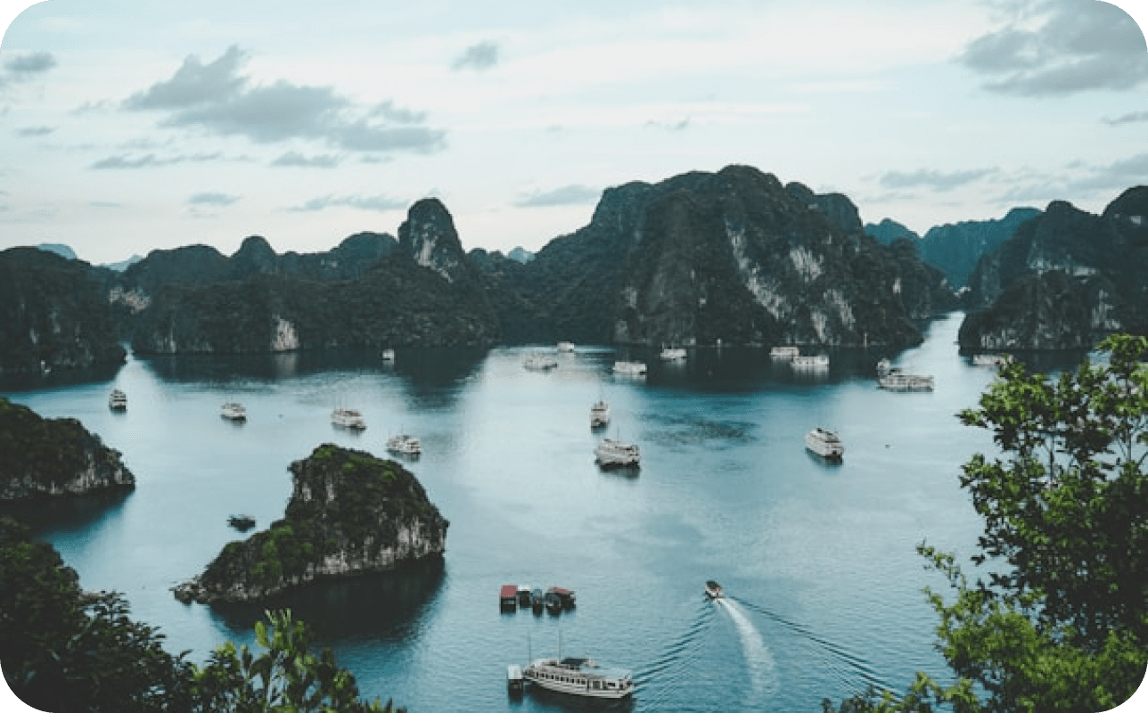 Vietnam Tourist Visa